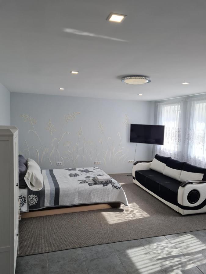 Birutes Apartamentai クライペダ エクステリア 写真